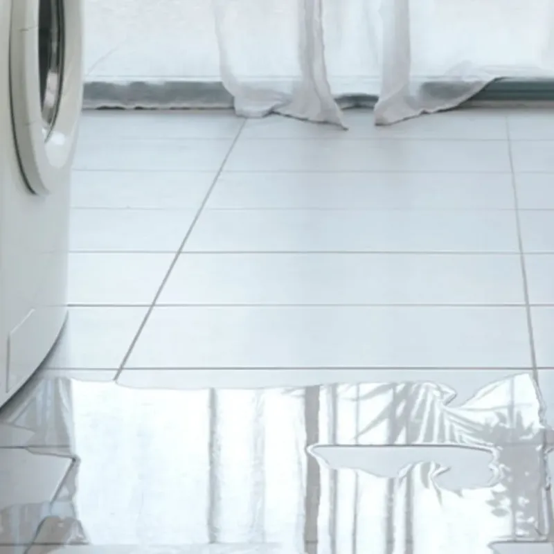 Appliance Leak Cleanup in Holly Ridge, NC