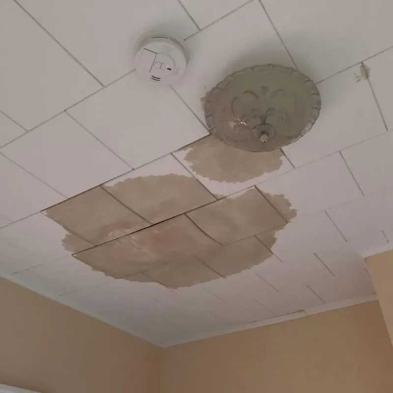Ceiling Water Damage Repair in Holly Ridge, NC