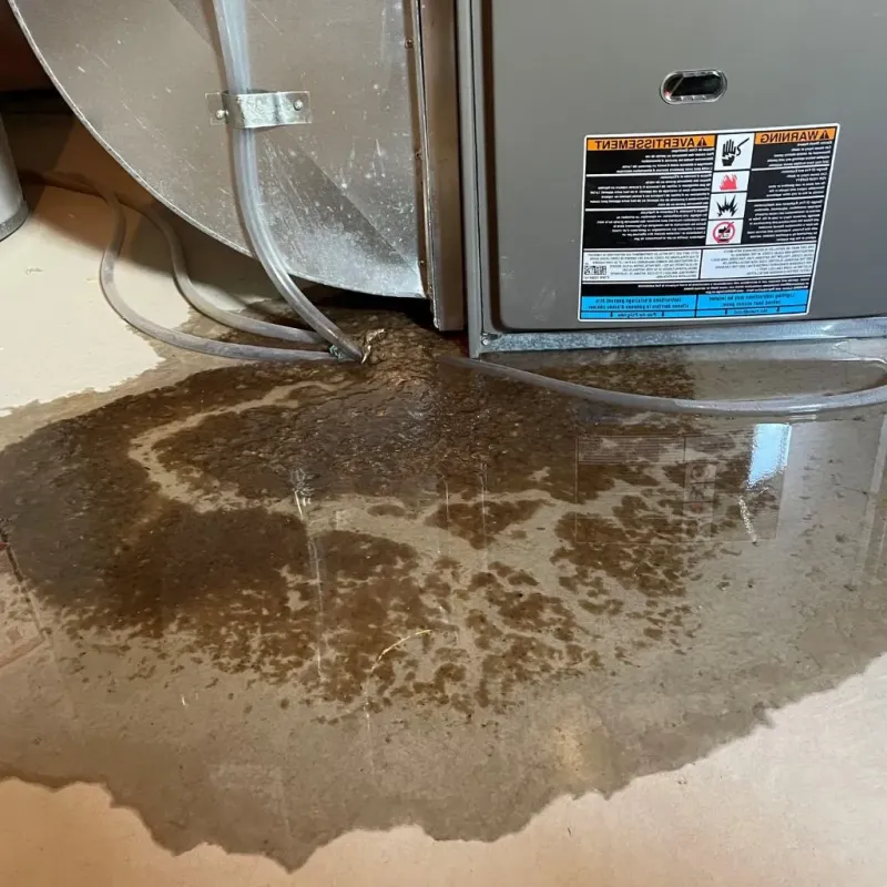 Pipe Burst and Leak Restoration in Holly Ridge, NC