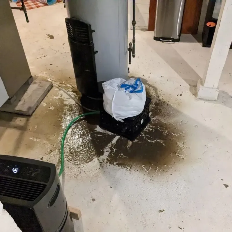 Sewage Backup Cleanup Service in Holly Ridge, NC